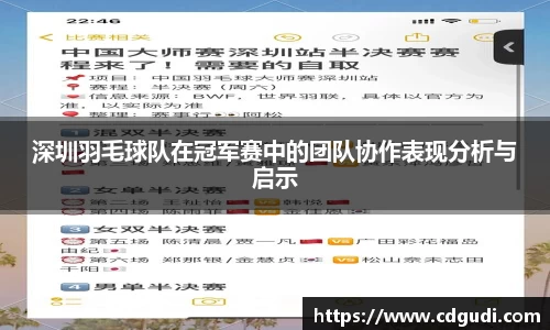 深圳羽毛球队在冠军赛中的团队协作表现分析与启示