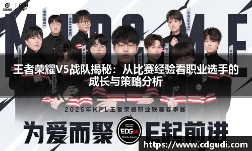 王者荣耀V5战队揭秘：从比赛经验看职业选手的成长与策略分析